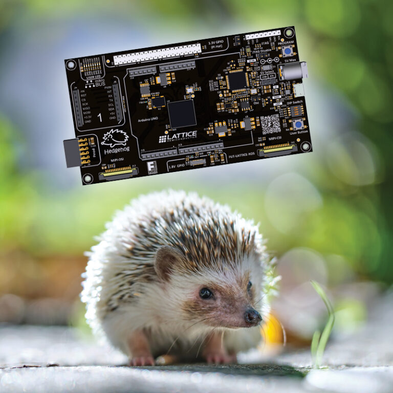 Hedgehog Development Board