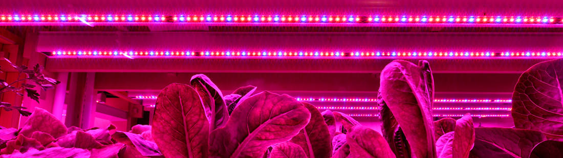 Lumileds — LUXEON 3030 HE and 3030 HE Plus LEDs